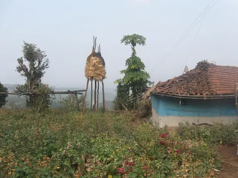 भरीया घर/ Bharia people's Beautiful House