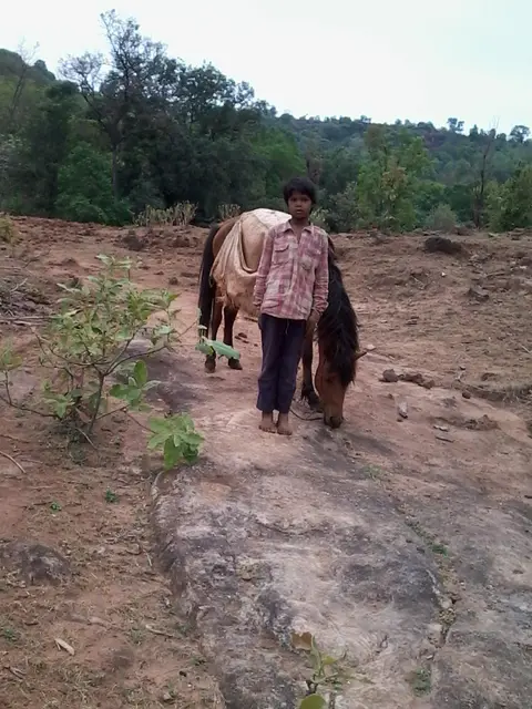 भरीया गाड़ी