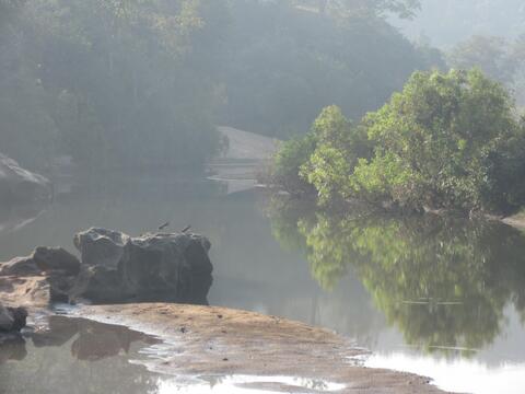 Beautiful river