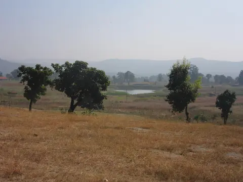 भरीया अदमीनक नकली जघा