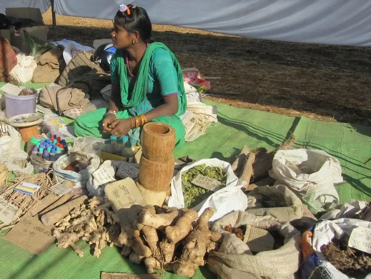 पतालकोटाक जड़-जनतरन